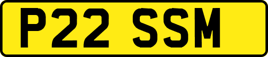 P22SSM