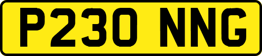 P230NNG