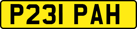 P231PAH