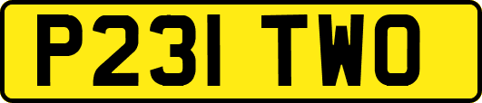 P231TWO