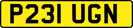 P231UGN