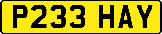 P233HAY