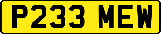 P233MEW