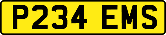 P234EMS