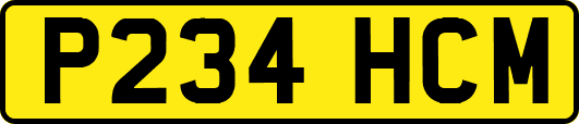P234HCM