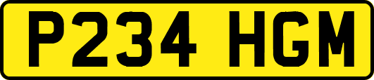 P234HGM