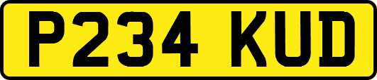 P234KUD
