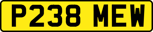 P238MEW
