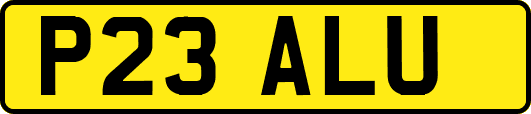 P23ALU