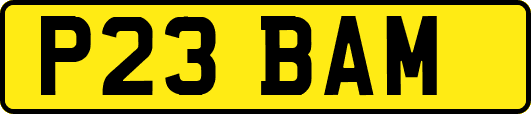 P23BAM