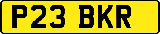 P23BKR