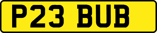 P23BUB