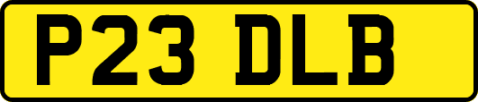P23DLB