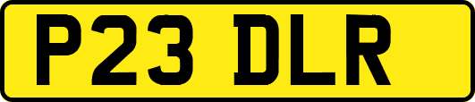 P23DLR