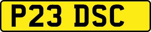 P23DSC
