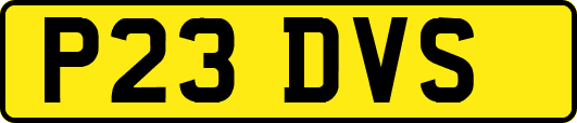 P23DVS