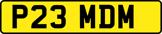 P23MDM