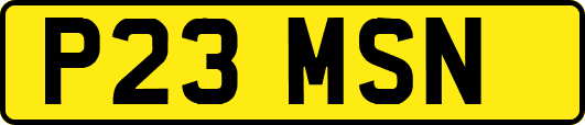 P23MSN