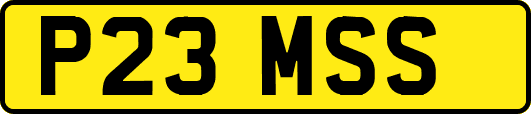 P23MSS