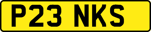 P23NKS