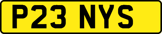 P23NYS