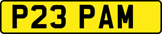 P23PAM