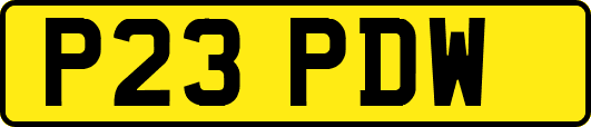 P23PDW