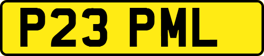 P23PML