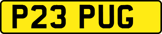 P23PUG