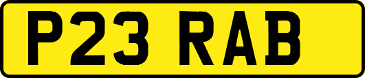 P23RAB