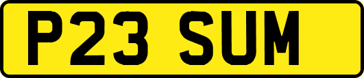 P23SUM
