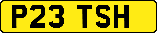 P23TSH