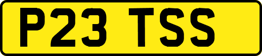 P23TSS