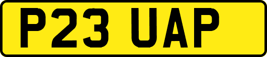 P23UAP