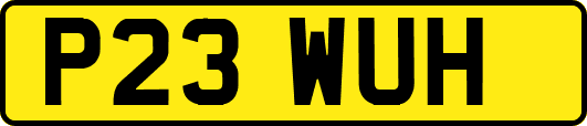 P23WUH