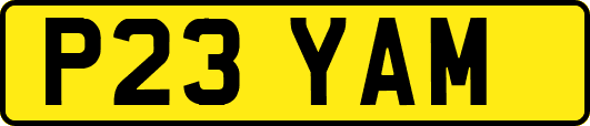 P23YAM