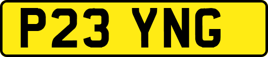 P23YNG