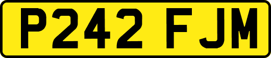 P242FJM