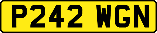 P242WGN