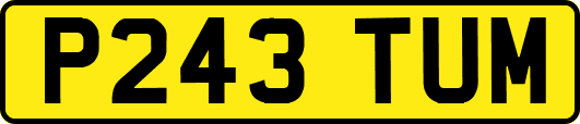 P243TUM