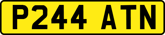 P244ATN