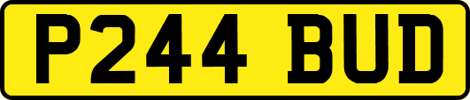 P244BUD