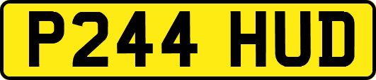P244HUD