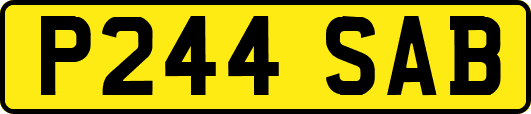 P244SAB