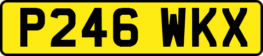 P246WKX