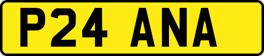 P24ANA