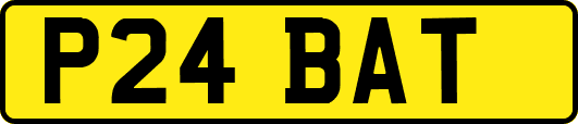 P24BAT