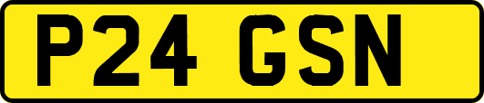 P24GSN