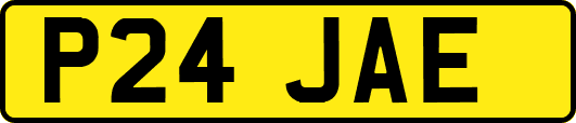P24JAE