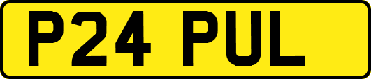 P24PUL